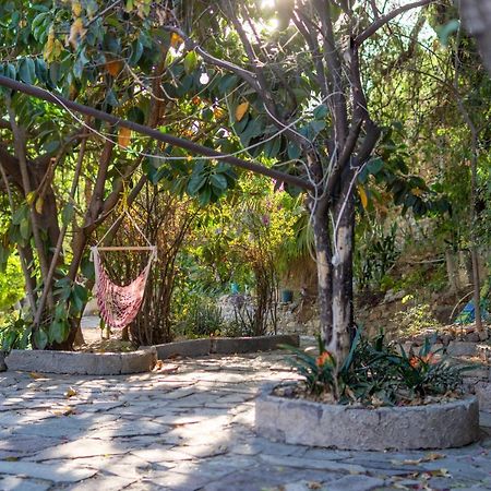 فندق غواناخواتوفي  Casa Ikal المظهر الخارجي الصورة